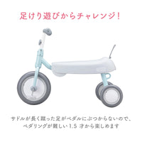 D-Bike dax / ディーバイクダックス