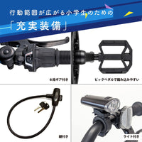 ディーバイク オーバーアクセル 20